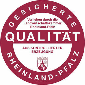 QZ RP Logo neu QZ RP Logo neu